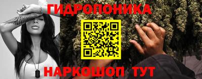 ешки Шебекино
