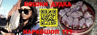 индика Шахты