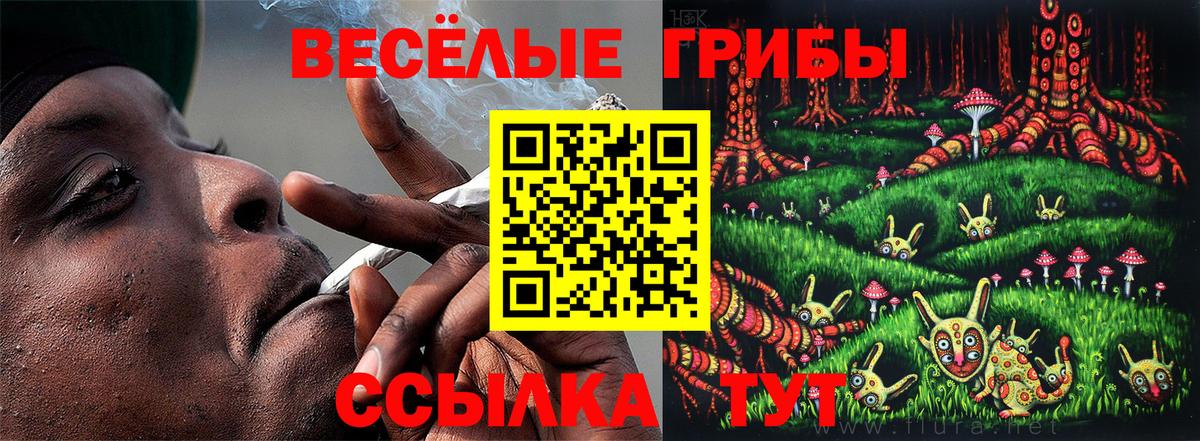 Галлюциногенные грибы мухоморы  Вход с VPN  Псилоцибиновые грибы мицелий  Ачхой-Мартан 